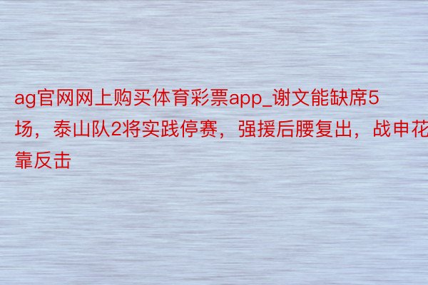 ag官网网上购买体育彩票app_谢文能缺席5场，泰山队2将实践停赛，强援后腰复出，战申花靠反击