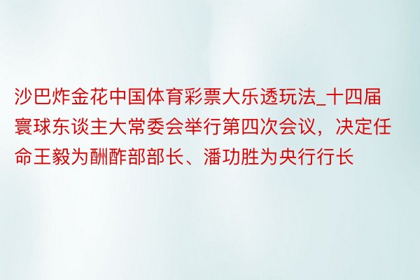 沙巴炸金花中国体育彩票大乐透玩法_十四届寰球东谈主大常委会举行第四次会议，决定任命王毅为酬酢部部长、潘功胜为央行行长